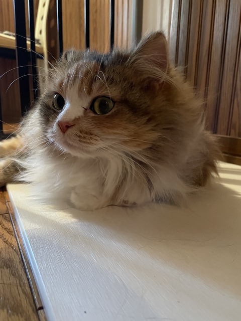 F29E52D7-BAC9-47B8-8D8B-11EA73D79547