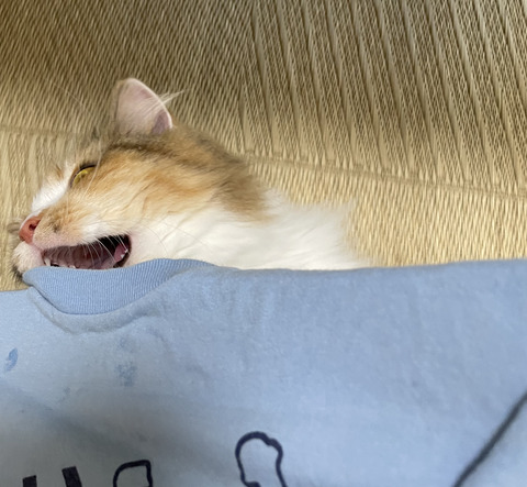 0071775B-ED43-4C25-8B04-63E9537587F5