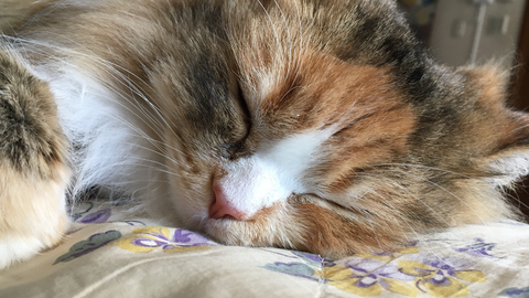 16A76254-B19E-4145-9128-45FB24E38AF1