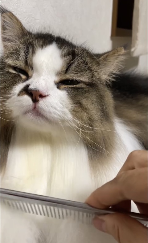 C2A3A7BD-723E-4007-8869-0A2E0E67B0C9