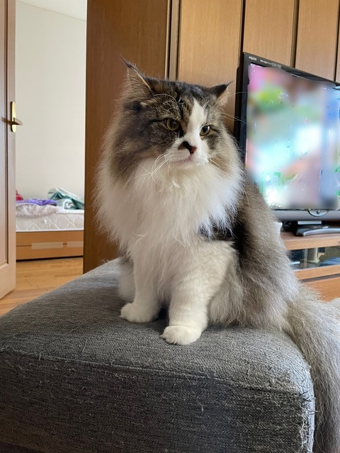 F7BC1E19-1F0D-4BB0-B7B2-946C228A9908