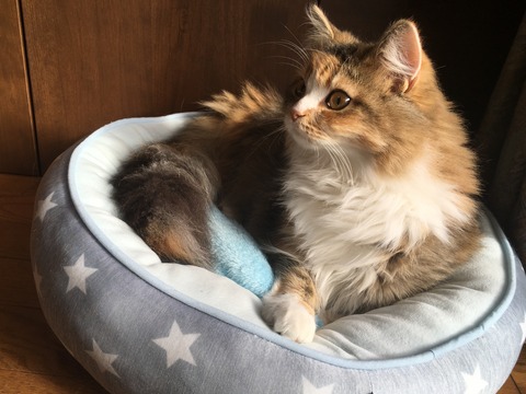 412F42CB-12CB-460E-BC09-F2443CA77B3C