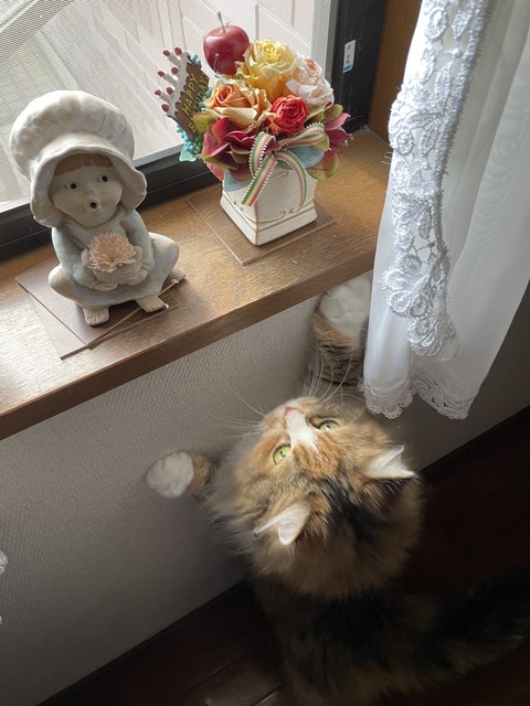 B1EE763B-56CD-41E4-8593-F727CE85071A