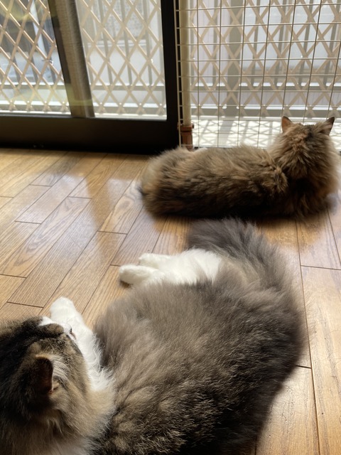 D3DBFF25-F29B-47DC-BA8D-E1BC8949A23C