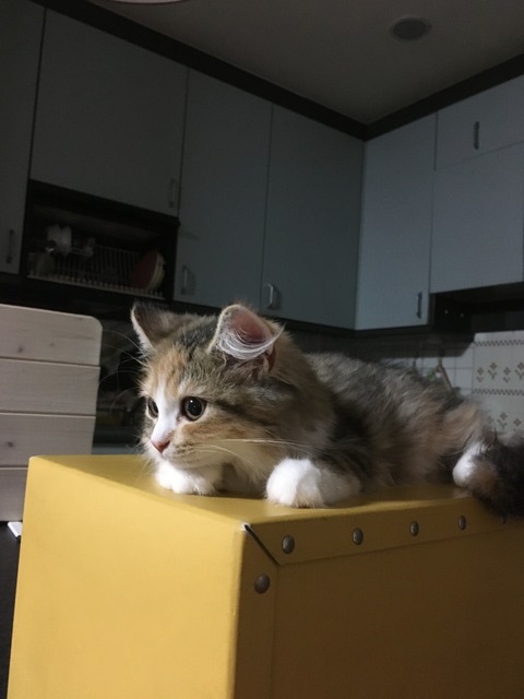 B74172CE-B3EF-404C-B985-089C0CBAEDD5