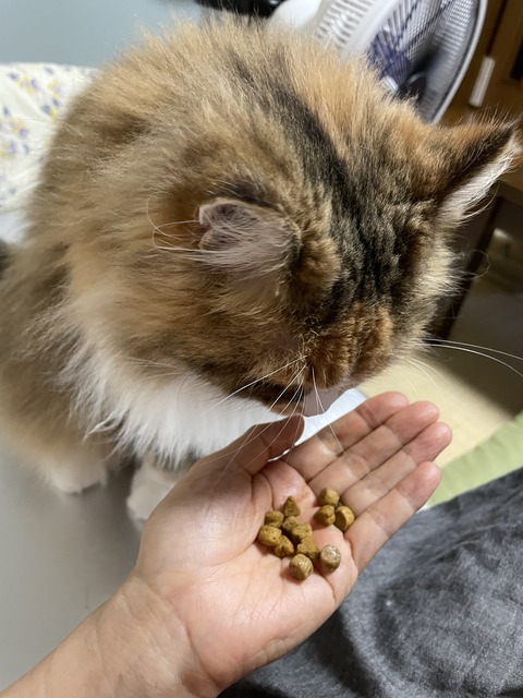 50BDC771-BC53-49A3-AB39-93224C943A58