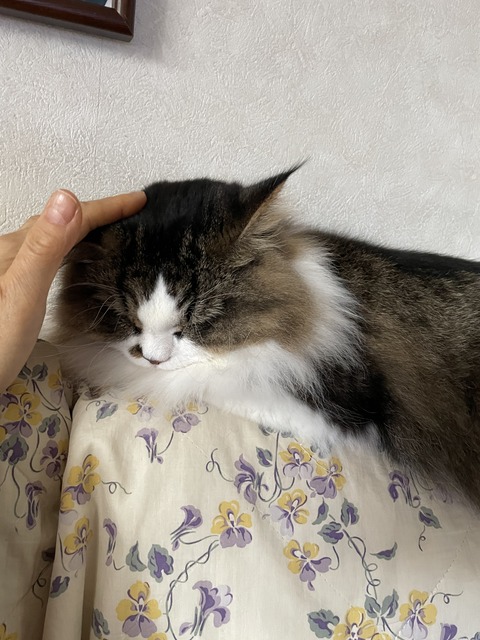 E6B92884-82AA-4844-A938-44EE75C28D75