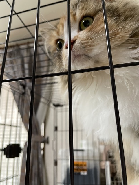 8CFCCEF9-9449-4C2D-8BCF-3F1D6508EE18