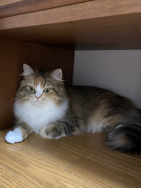 1EF677ED-2CA8-489A-8774-2A9A5488B8F3