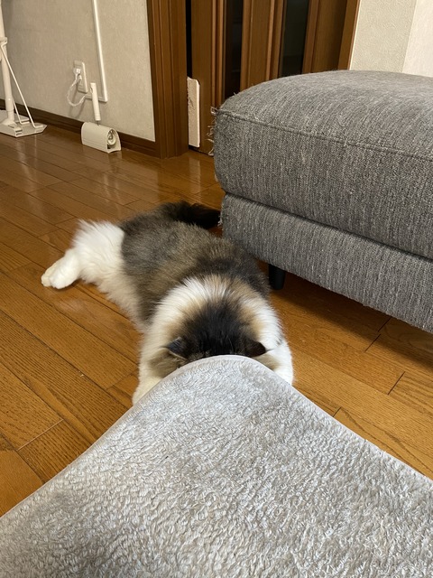 BF0B5B50-CCEA-4EA2-8ED2-CB78C4283516