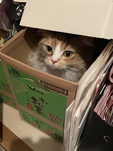 31889CE9-1ED1-4F58-A060-FFD5D4E1F429