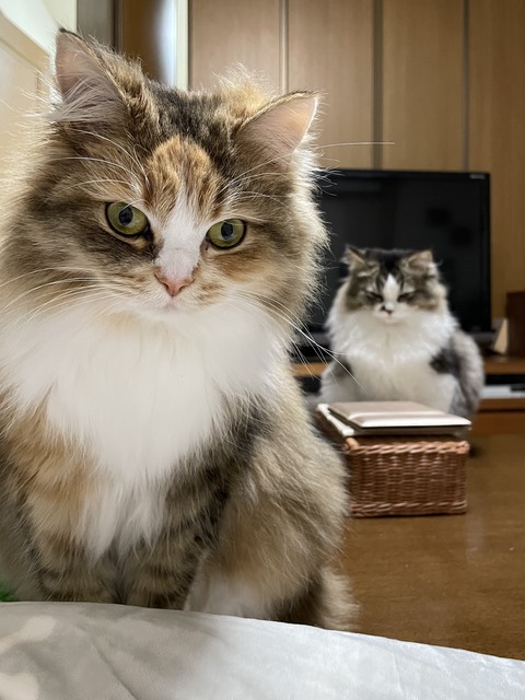 801E8637-A8AE-43DB-864F-171794B1C8CB