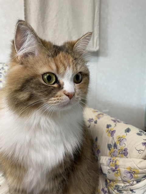 6DCDC9A9-79AD-457A-9340-696B7D526A20