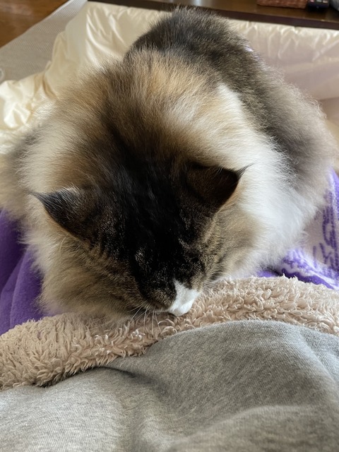 E301B043-BD40-4064-814B-5690AEECBDC6