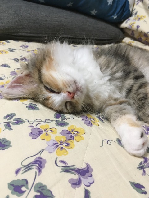 EDFBBFE7-4862-44CC-94AE-F1CE6566DB5A