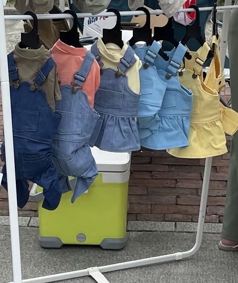 232A2F10-4A0B-4704-9990-2E3D789D5F4B