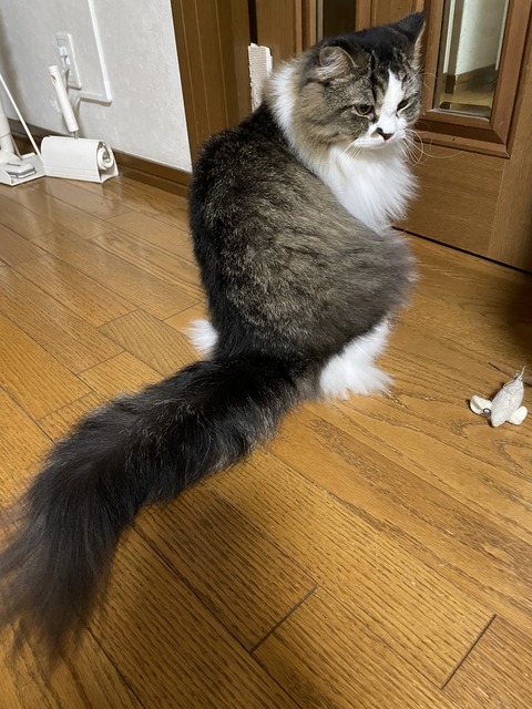 CDEB6E05-F19D-4182-8269-430D55F112CD