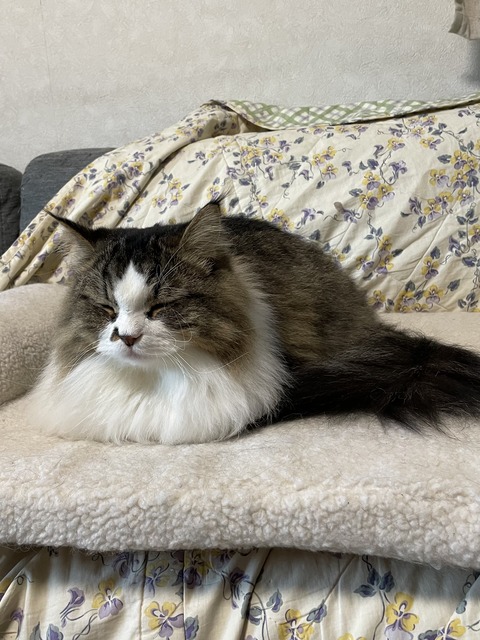 1720FA98-59DB-4376-B42C-445ABD8B42AB