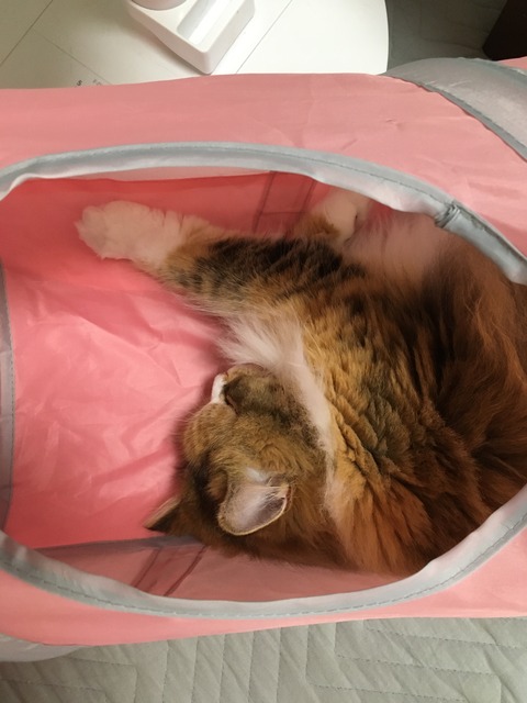 5D57AB91-A984-40B8-99BB-559AB9655095