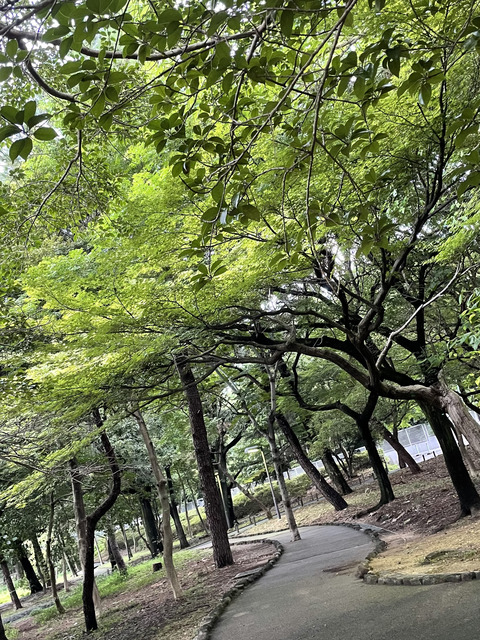 C250F4EE-7EDA-419B-99CD-643433BCF31B