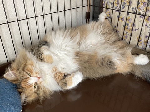 3DC7F14F-2426-4E83-B366-61B386A978DF