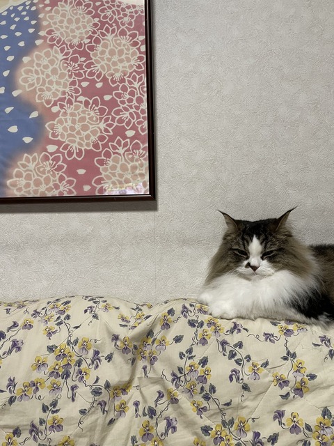 2F944C6E-A4A2-4FD0-B839-9F6A275C03EE