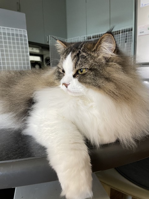 F8DE37B5-9242-4771-BE3D-28A897D2F38E