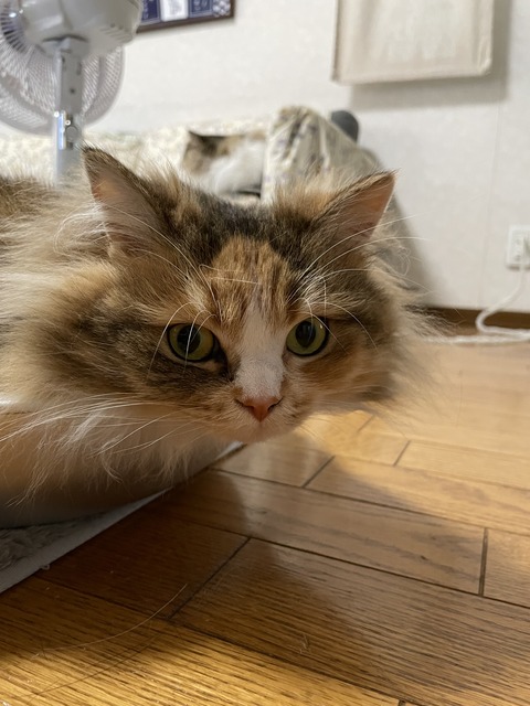 5C1C9D29-E70A-4006-BFFB-D17DF426B321