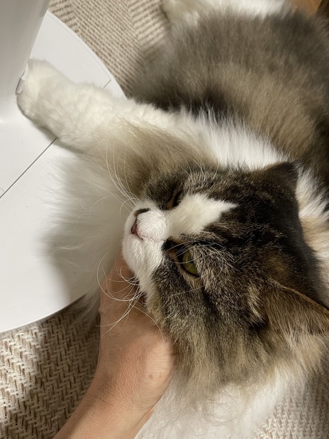 BD4AF0FC-22E6-42DD-99A7-0A9C8D28D773