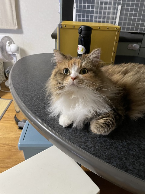 532D2910-0FE4-41D5-948D-59703BC51768