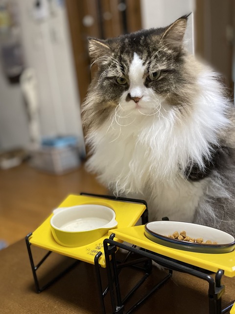 B960CE2F-7E7D-4C74-9EFB-14704E4D51E7