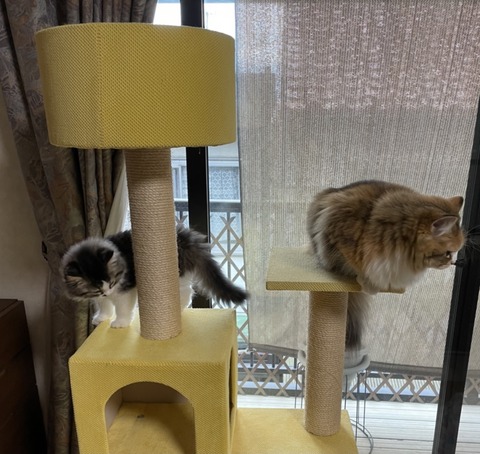 48C57386-298E-4D44-93B3-0F1AF4665221