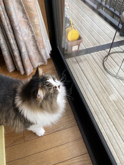 159A0D33-EDC1-420E-95F5-2C34B5093813