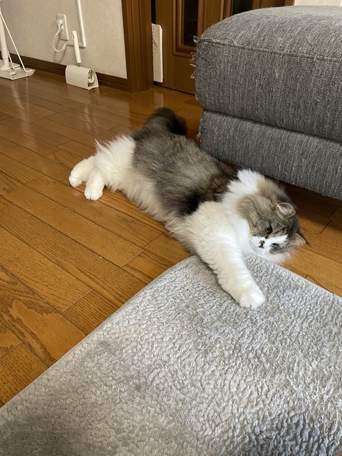 BAB10B2D-7FD7-46D5-9B62-75B8E820E460