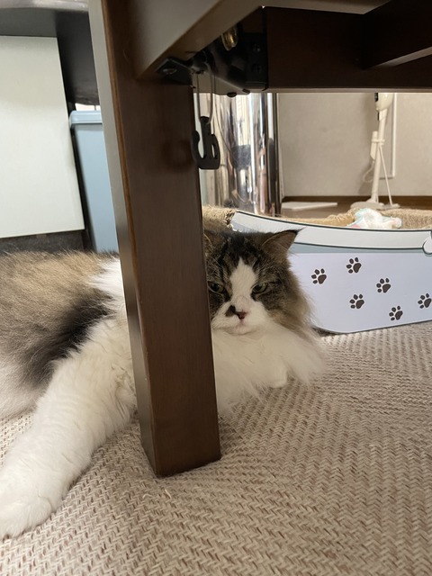 0B6B4E2A-C006-4C3E-BA9E-C9B3E07C1631