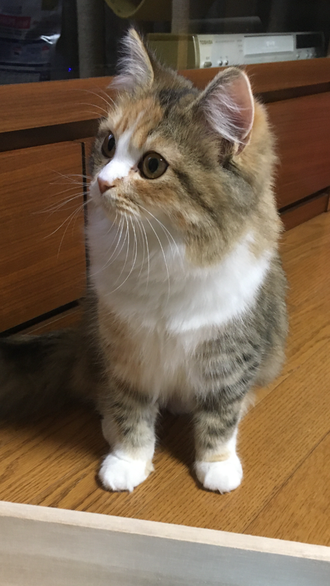 E2FA68B9-73E9-4FC9-BA95-81D8B4F16EDA