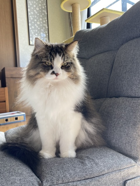 CB483571-5A51-422F-8F02-B265A79B92B6