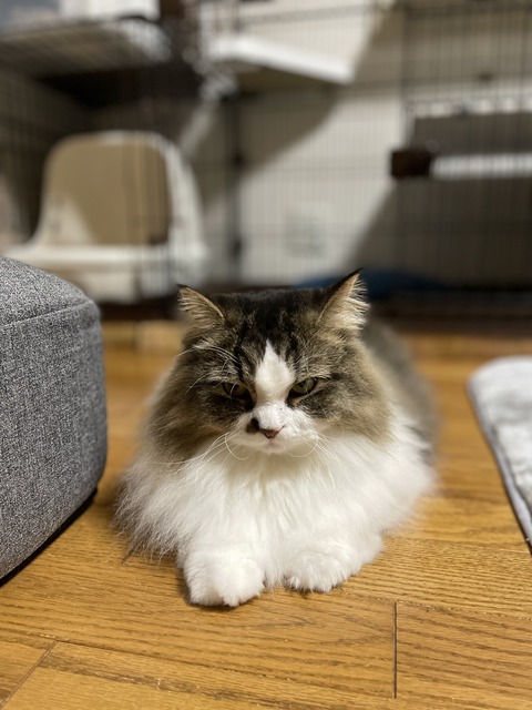 E5650E2B-6408-486F-AB17-6DFE9A44F09F