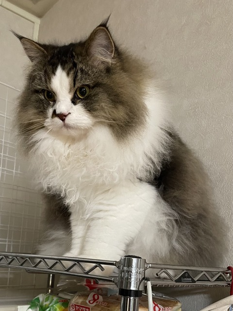 139DC8C3-7486-4971-938A-D1252D06D3BA