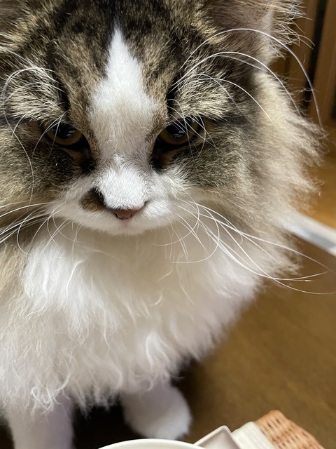 C4B9BDD4-1667-4FB1-9233-14410B499878