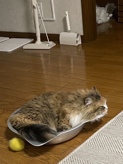 8492877D-2747-4CE1-A672-CF2522D4FEAF