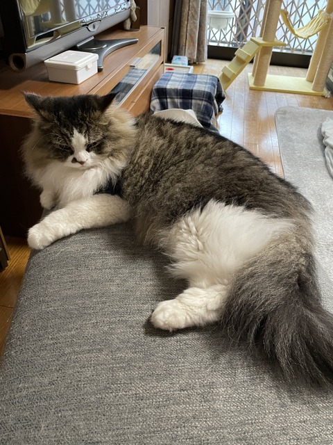 38F76535-A396-471D-9D41-A435B7B5627E