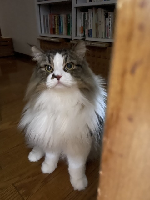 FA0EC914-5ADD-465C-B19C-E9A91925A3DB