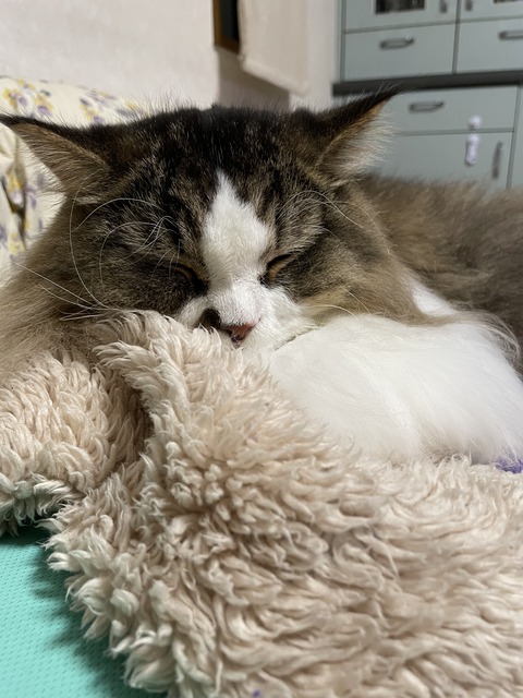 7971EE17-6B07-4502-9DC6-B60B33015C4B