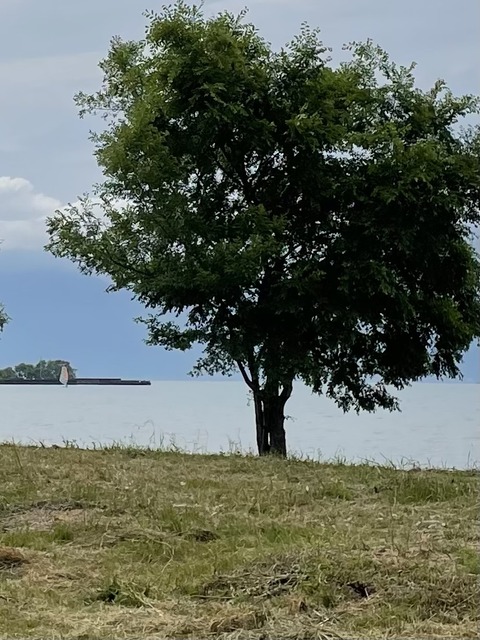 D88035F6-3599-4390-A5B5-CE0E271196BC