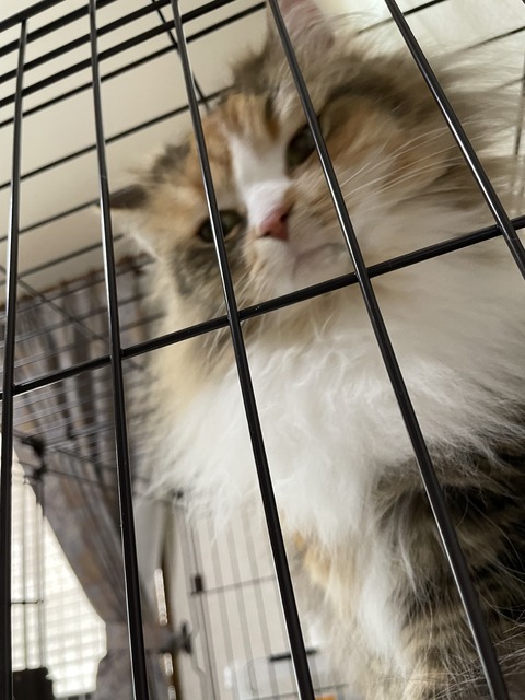 C434FF69-E279-4024-A452-A07232898253