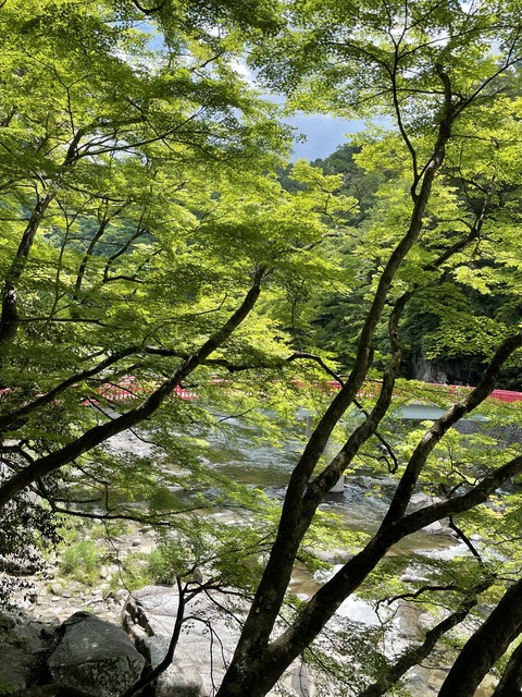 87CFE6A7-4D57-48FC-B881-710575B7E3E7