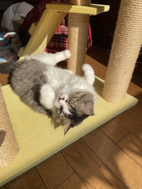 D49943BF-F141-46F9-A650-5E66A555C796