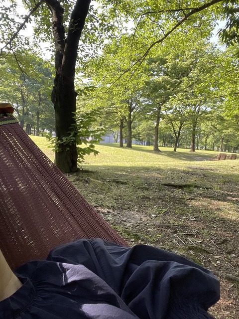 4AAEB590-63F4-4CFD-92EC-A55317C7139C