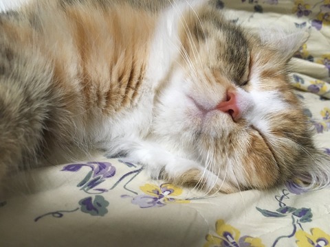 57715C14-29B5-4ECE-BEF4-5FEAF2A97880